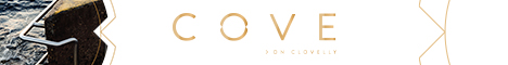 181113-Cove-Domain_WB_Standard-Banner-468x600